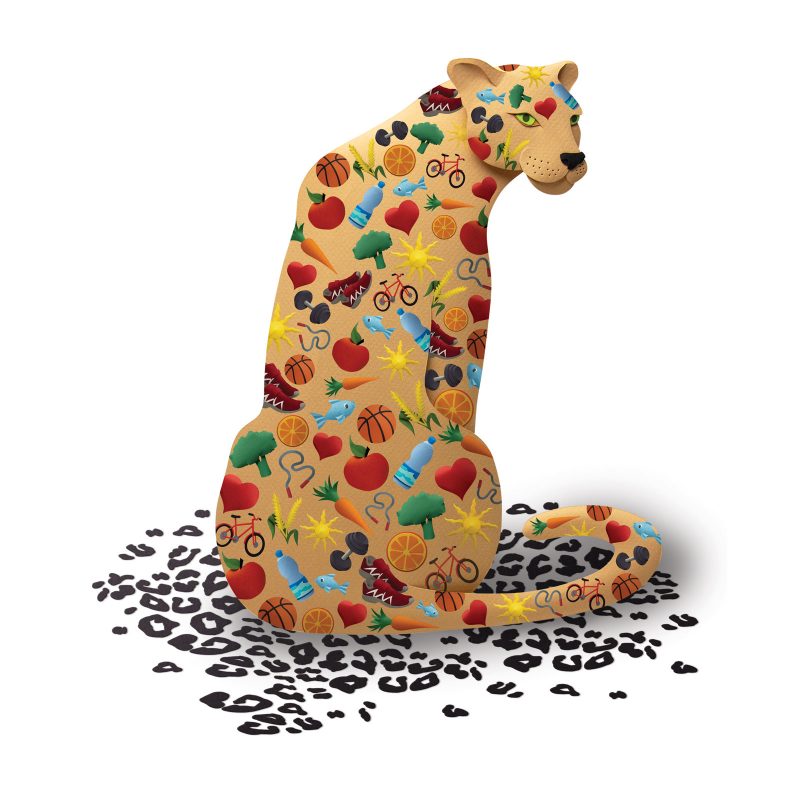 A Leopard Can Change its Spots