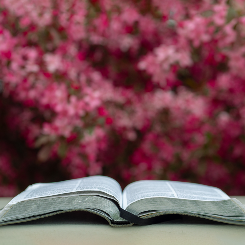 Is It Really Important to Memorize the Bible? If so, Have You Got Any Good Tips?
