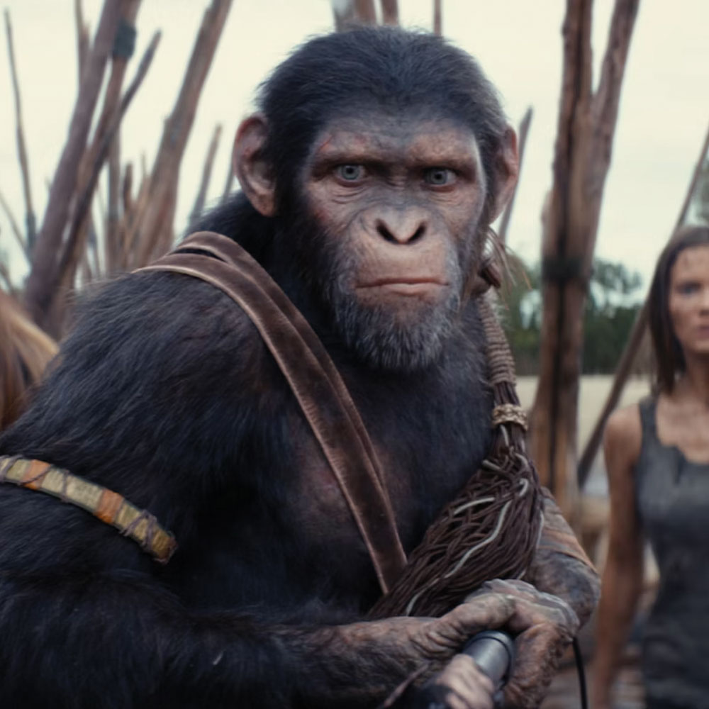 Image for '“Kingdom of the Planet of the Apes”'