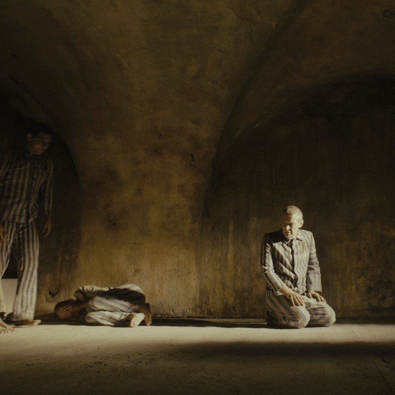 A Thought-Provoking Film Not for the Faint of Heart