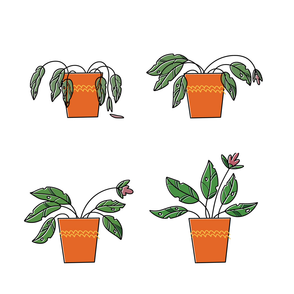 Practice Resurrection