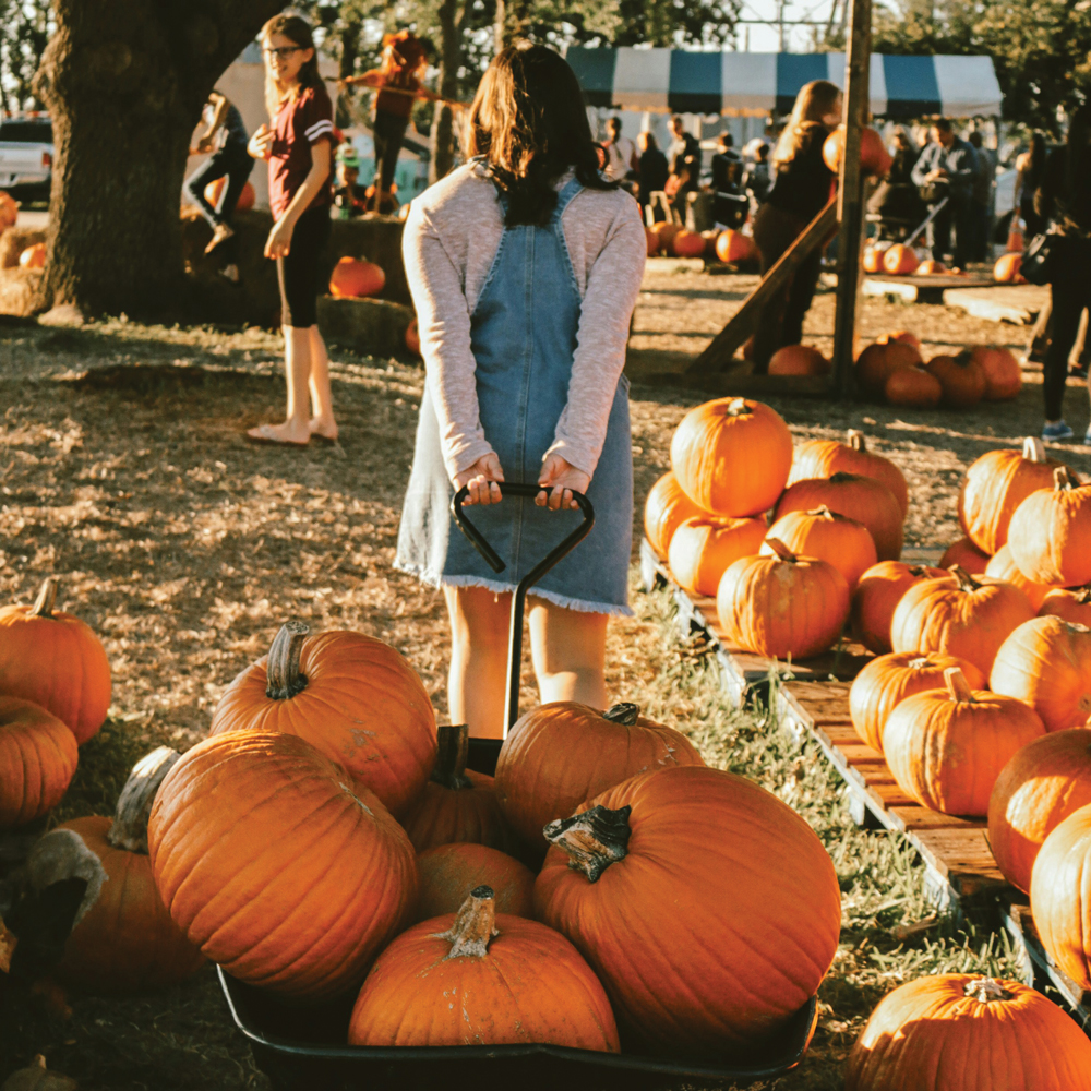 5 Low-Spend Activities You Can Do This Fall